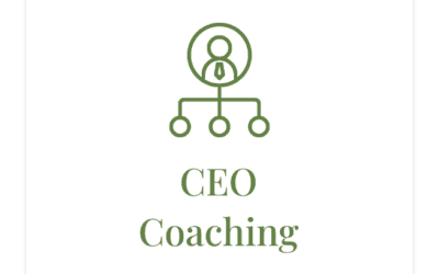 What Companies And Executives Should Expect from C-Level Coaching