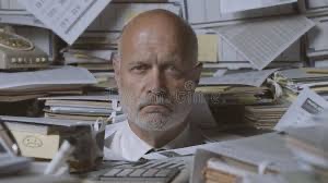 The Chief Everything Officer (CEO)